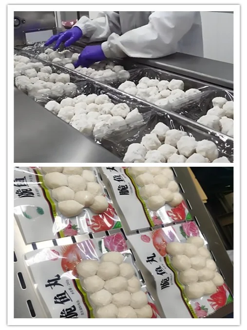 智能未来：探索鱼类加工设备的自动化之路