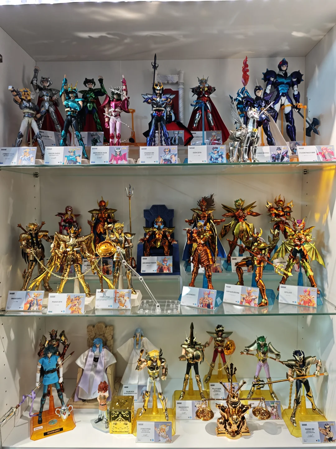 收藏15年的成果 190+圣衣神话爆柜！！！