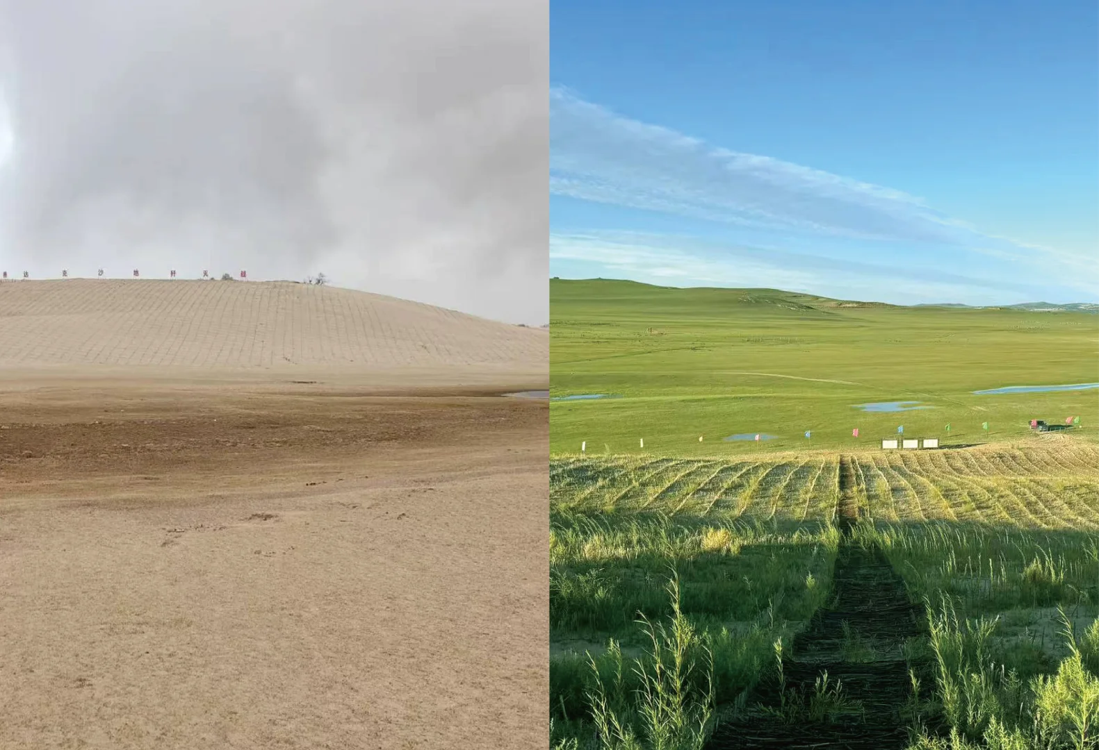 浑善达克沙地修复的秘密，你... 知道么！