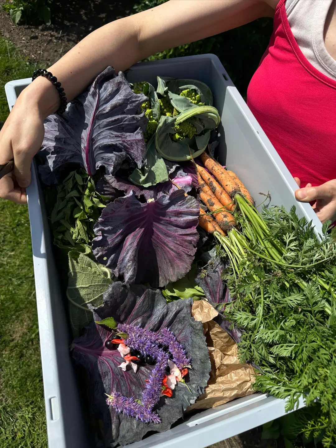 这是我们对土地的回应！