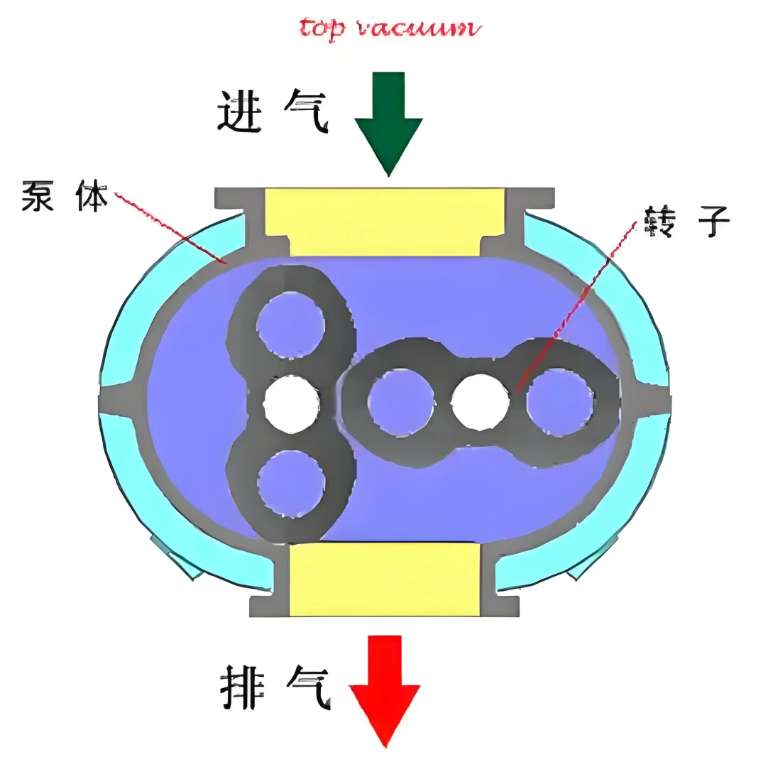 #真空泵原理 分类解析