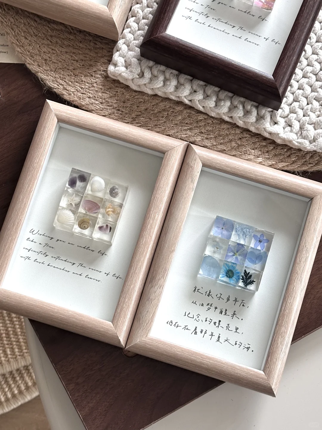 初夏??꙳⋆?♡ ◟