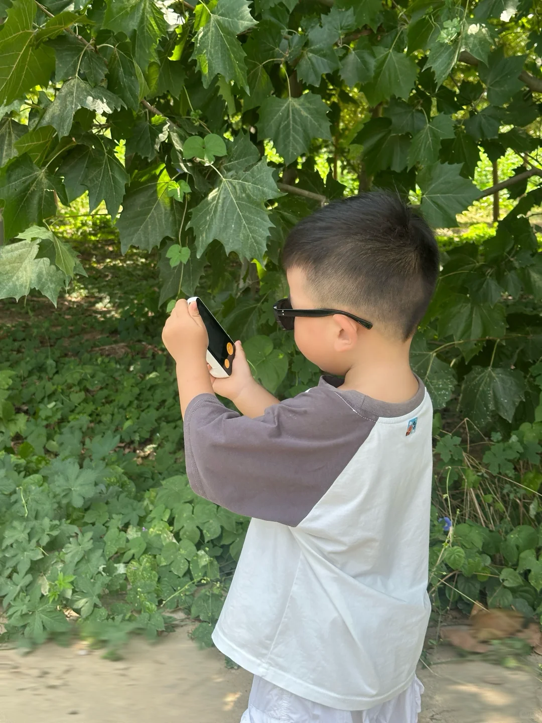 这玩意这么有吸引力？