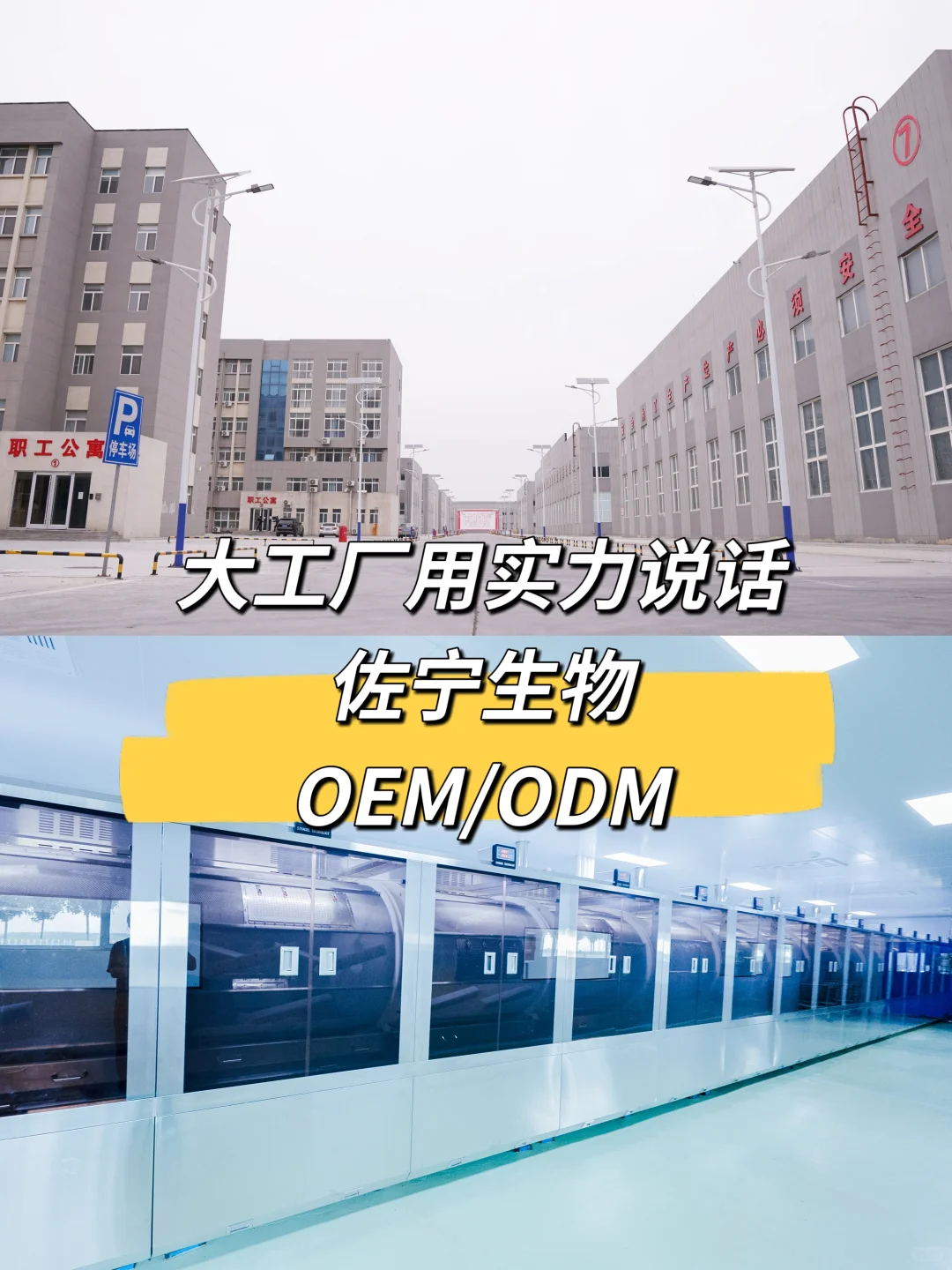 绝❗️这家工厂把保健食品卷出了新高度！