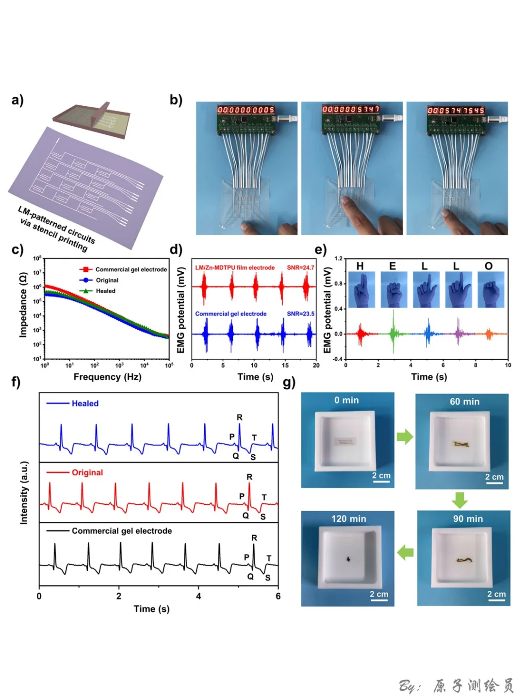 AM：“一石五鸟”的Zn-MDPU弹性体
