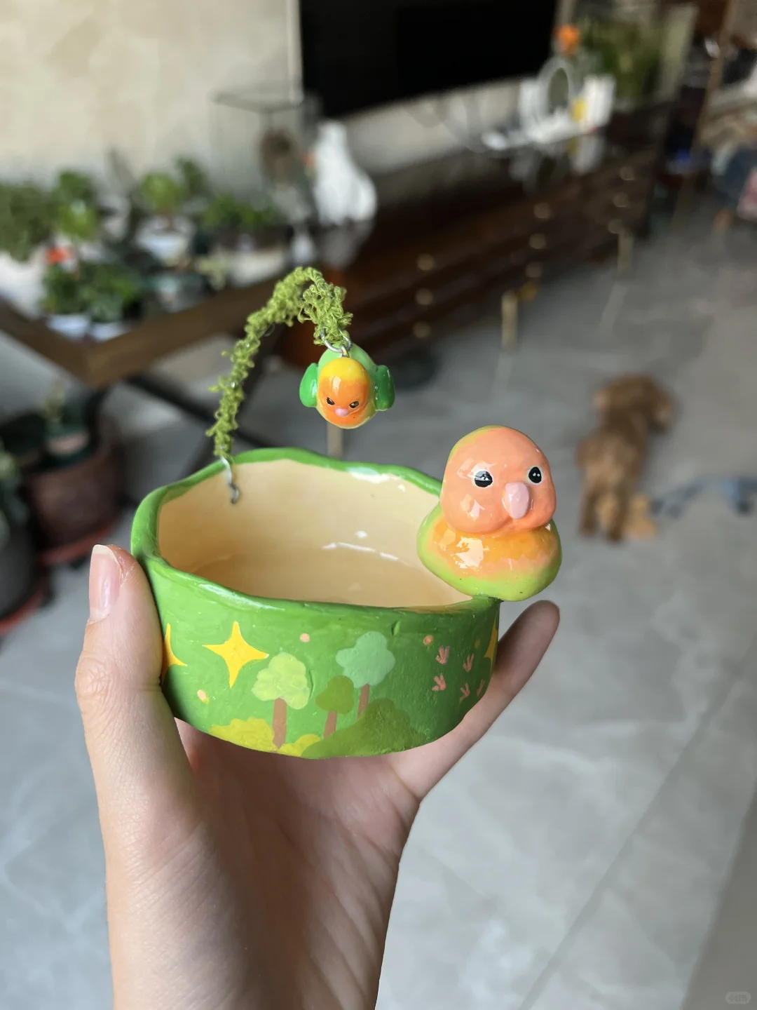 小鸟食盆大成功！