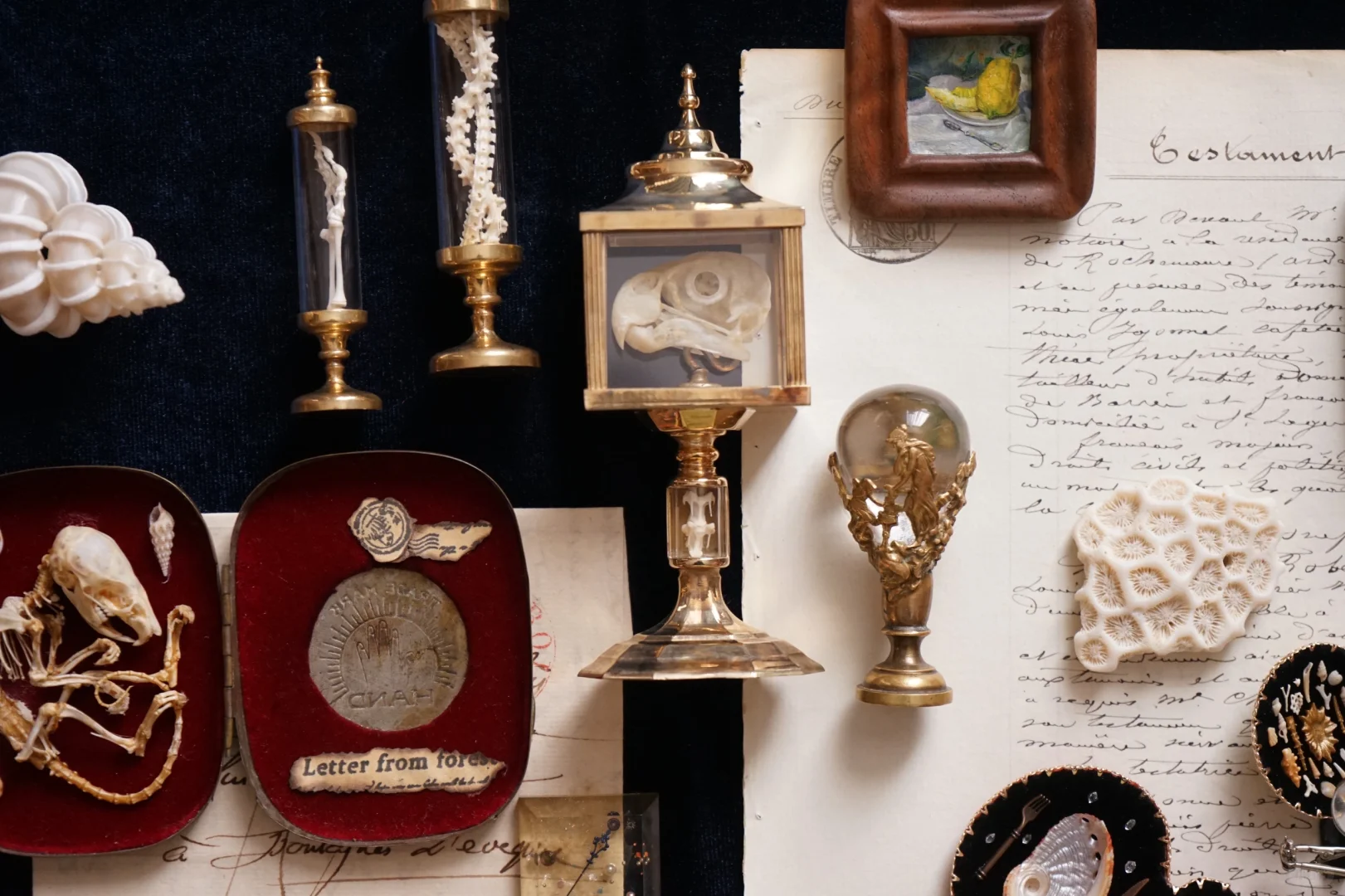 收藏｜微缩??封存的秘密?