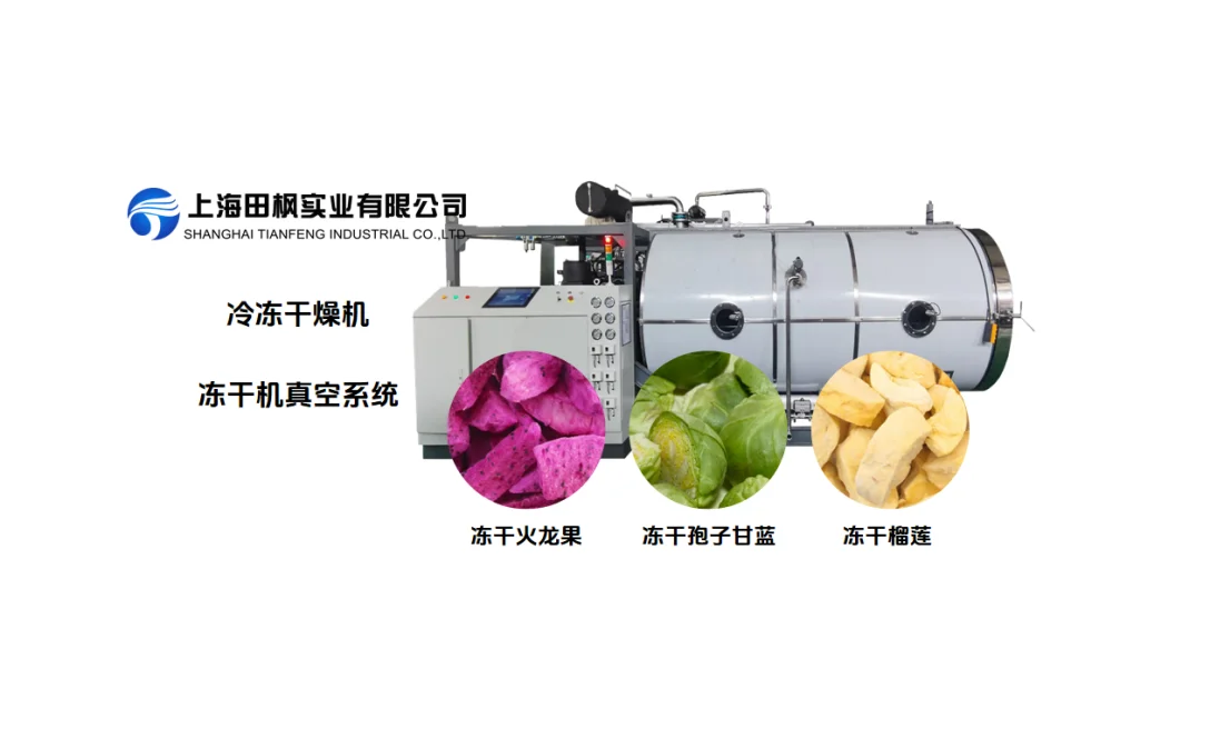 冷冻干燥机除了价格,更该关注什么?