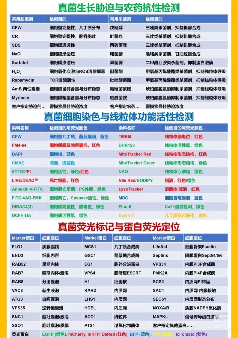 双11大促!真菌基因敲除敲三赠一预付享豪礼