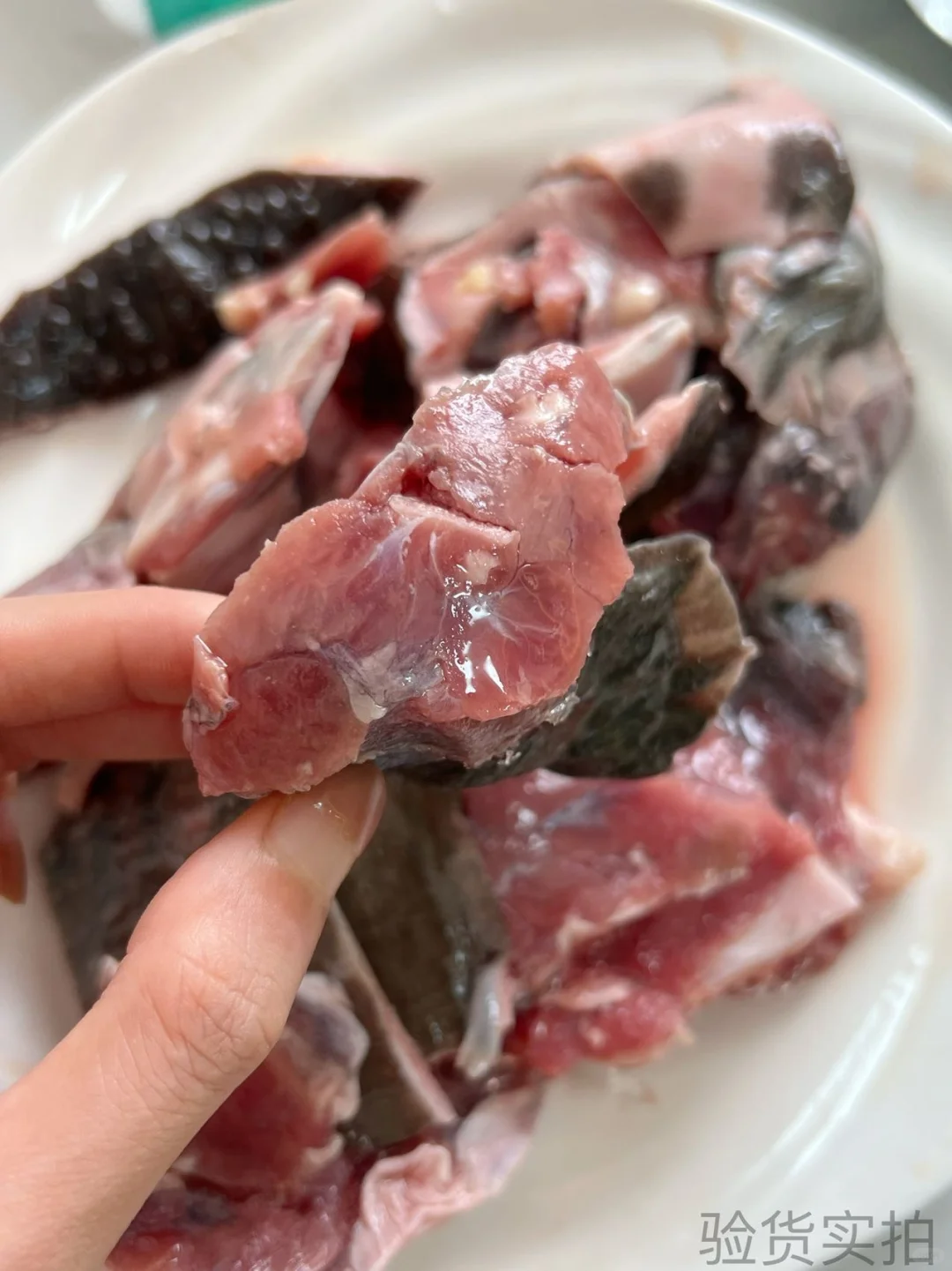 【?南丰甲鱼源头直供！工厂实拍敢透明！