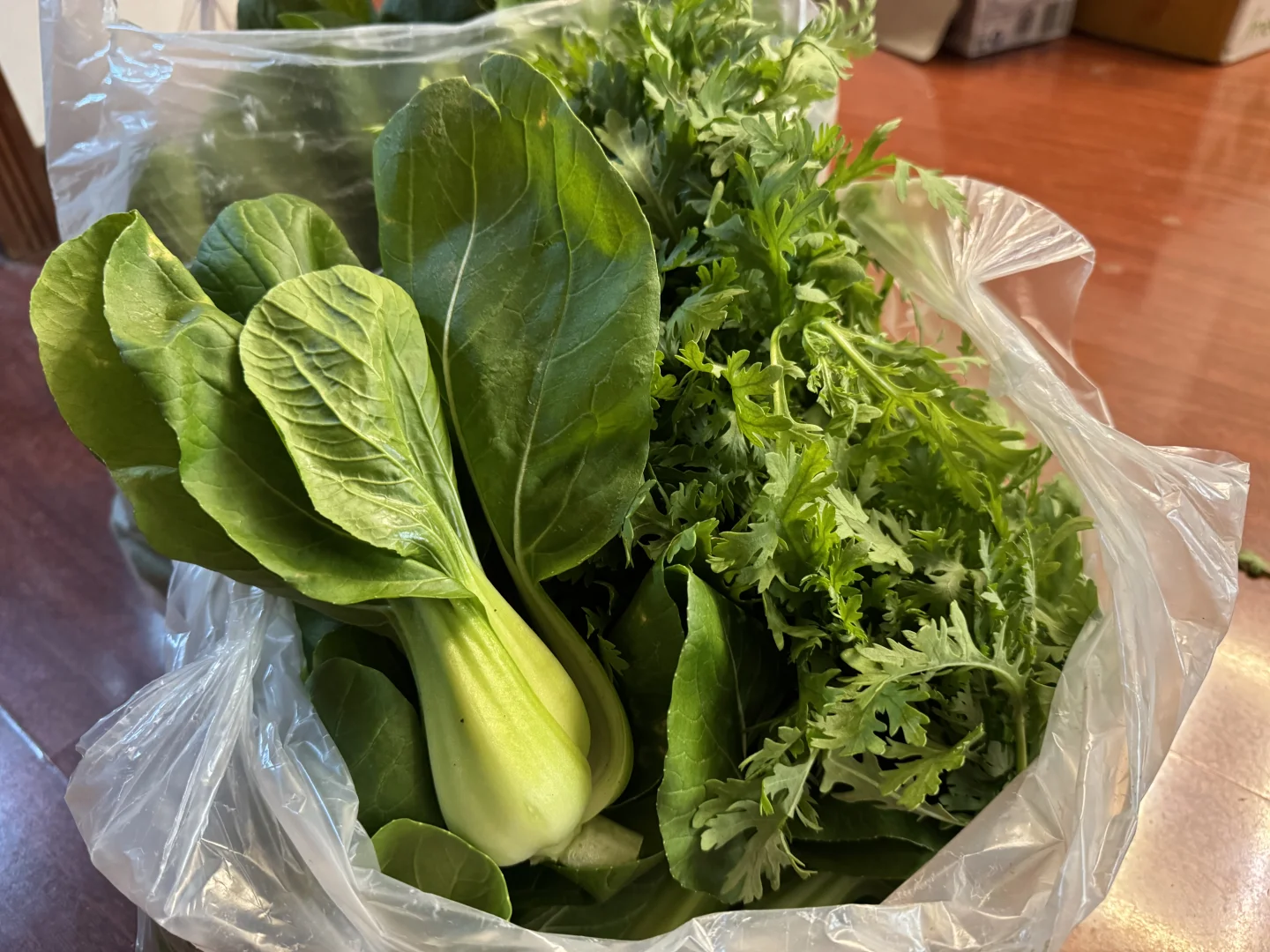 周末遛娃之采摘蔬菜，看看鸡鸭鹅和兔子