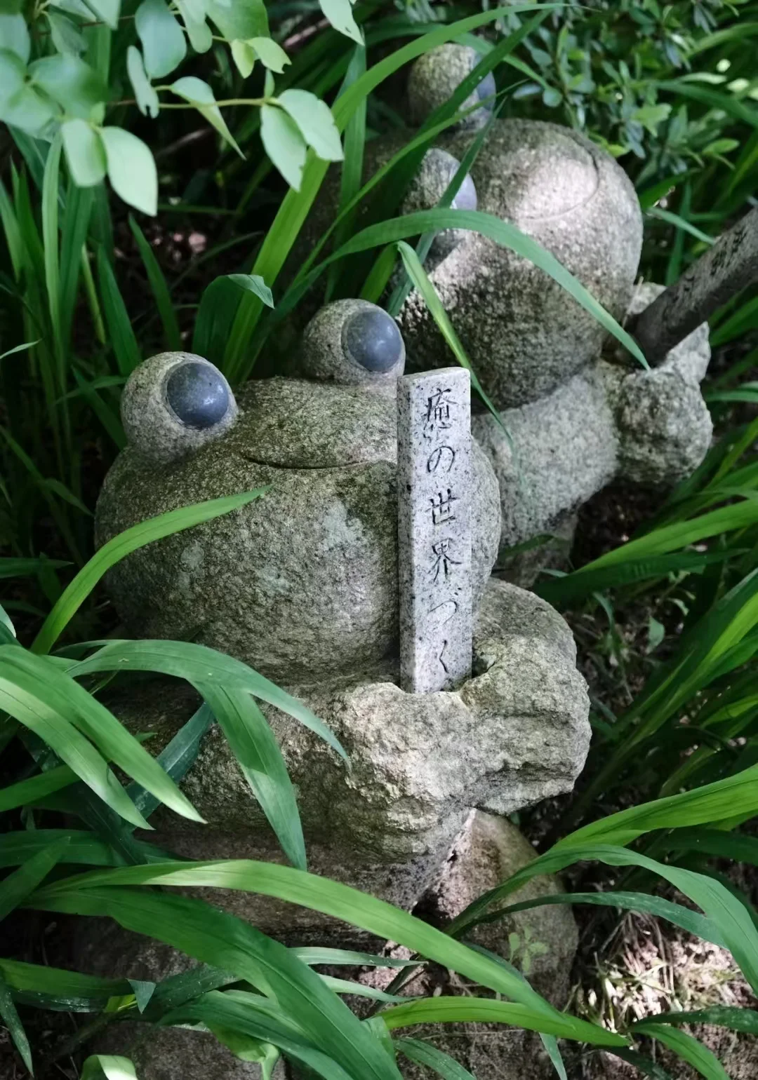 日本福冈—如意轮寺 青蛙