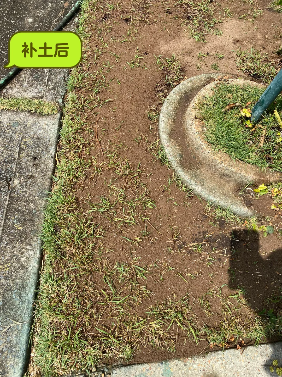 草坪修复与补给