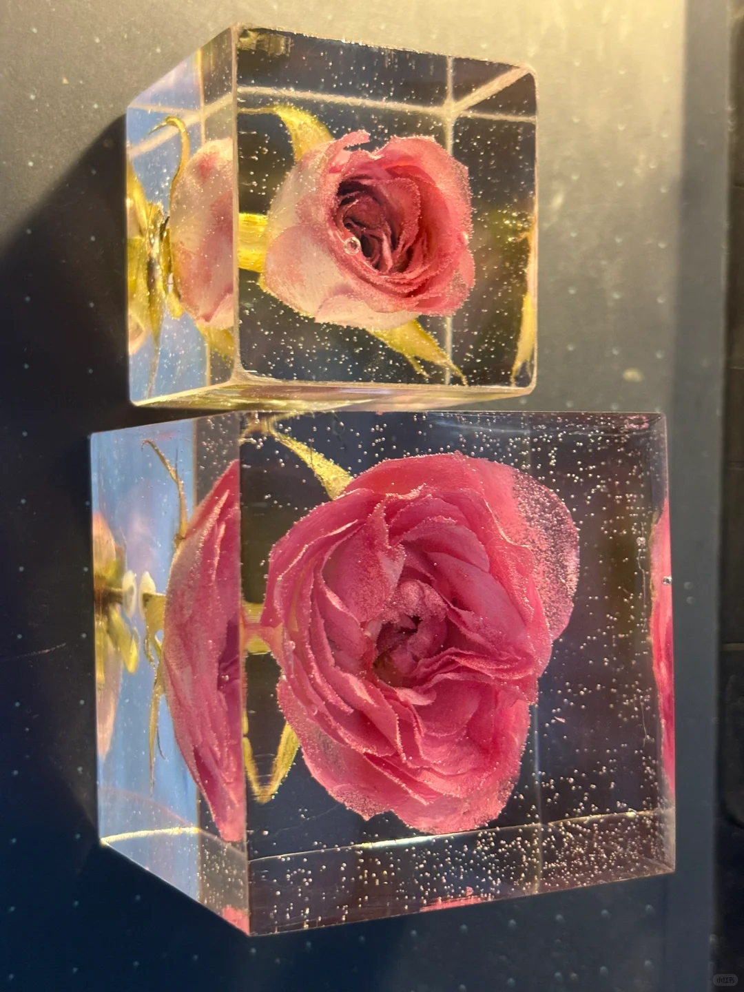 ?滴胶玫瑰的保姆级详细教程