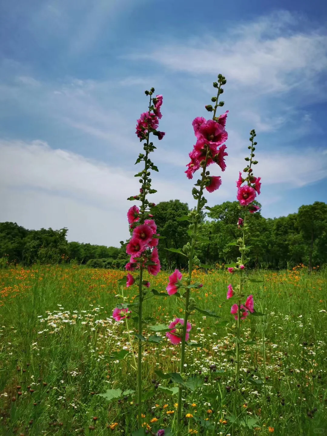 常用特殊面料篇