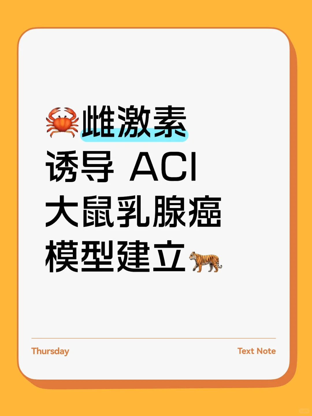 雌激素诱导 ACI 大鼠乳腺癌模型建立