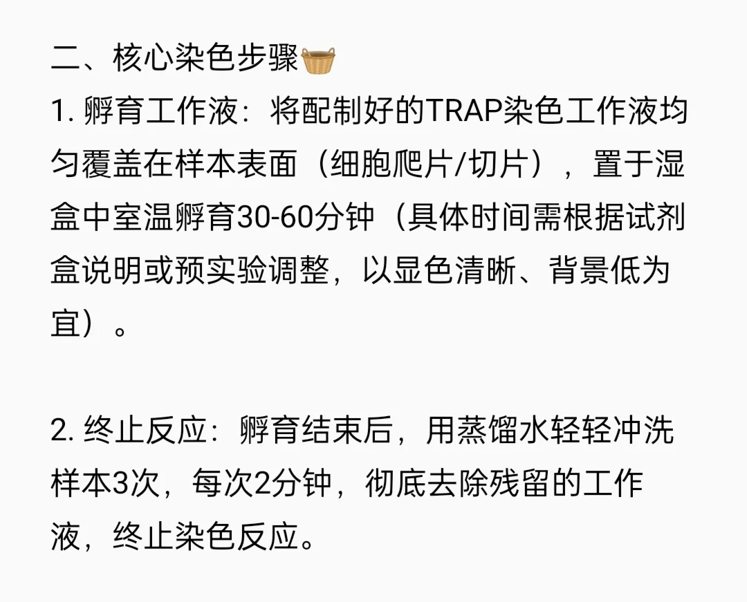 TRAP染色实验流程