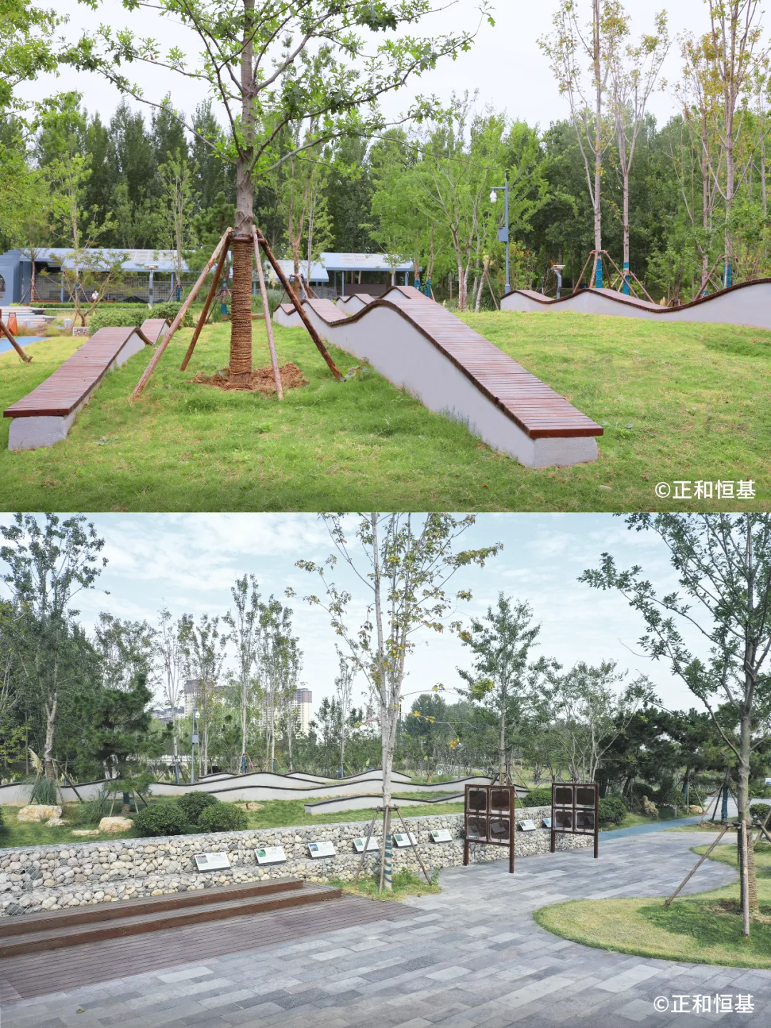 2023 IFLA 获奖项目:低干扰生态韧性修复