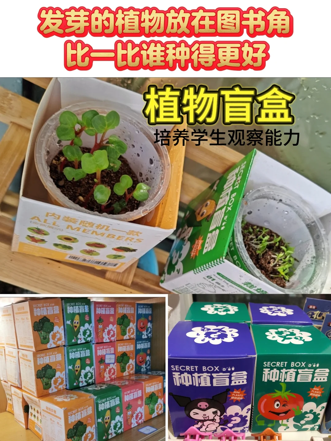 小学生最爱的奖品《第三弹》来了！