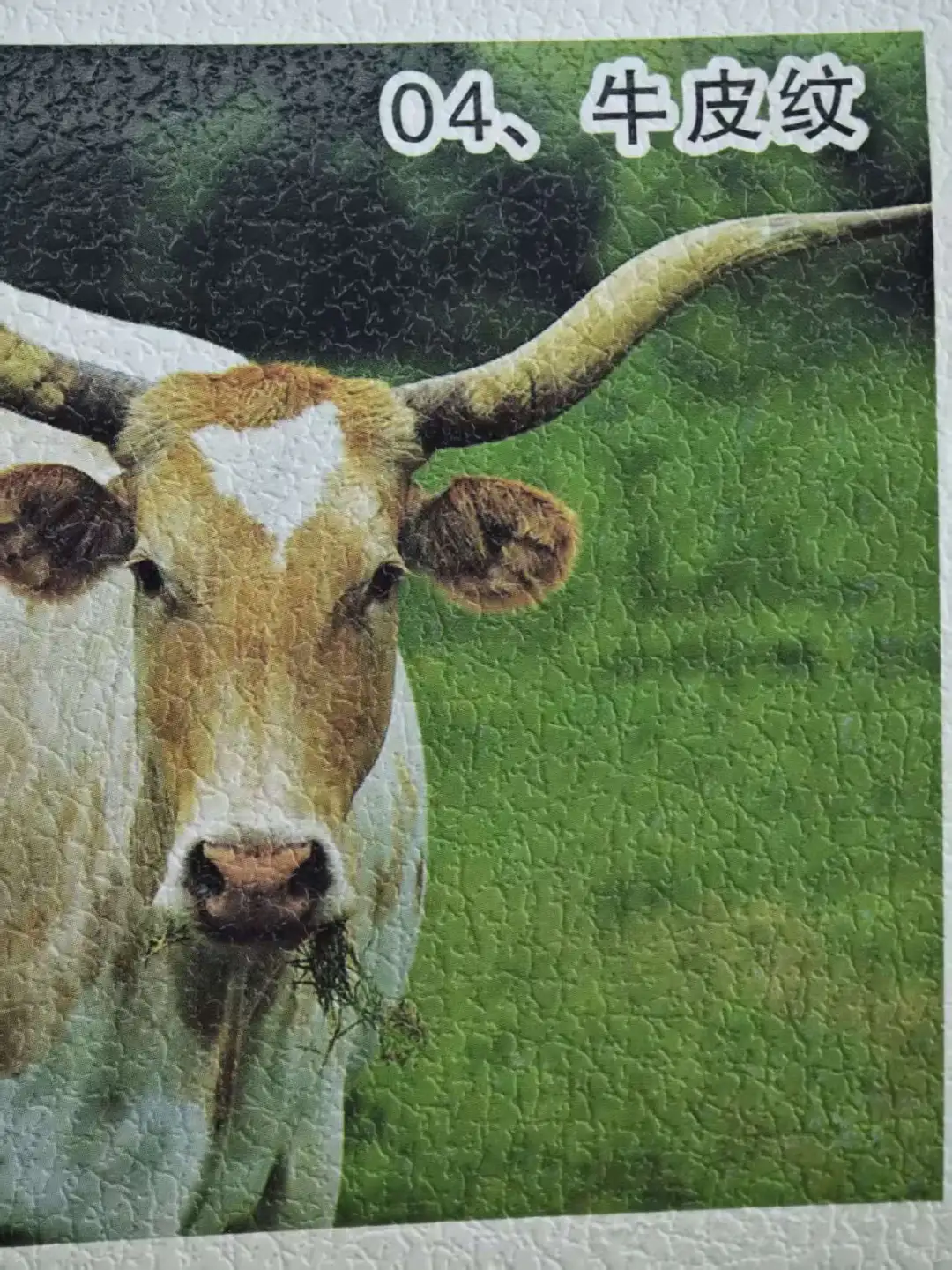 各种纹样的压印