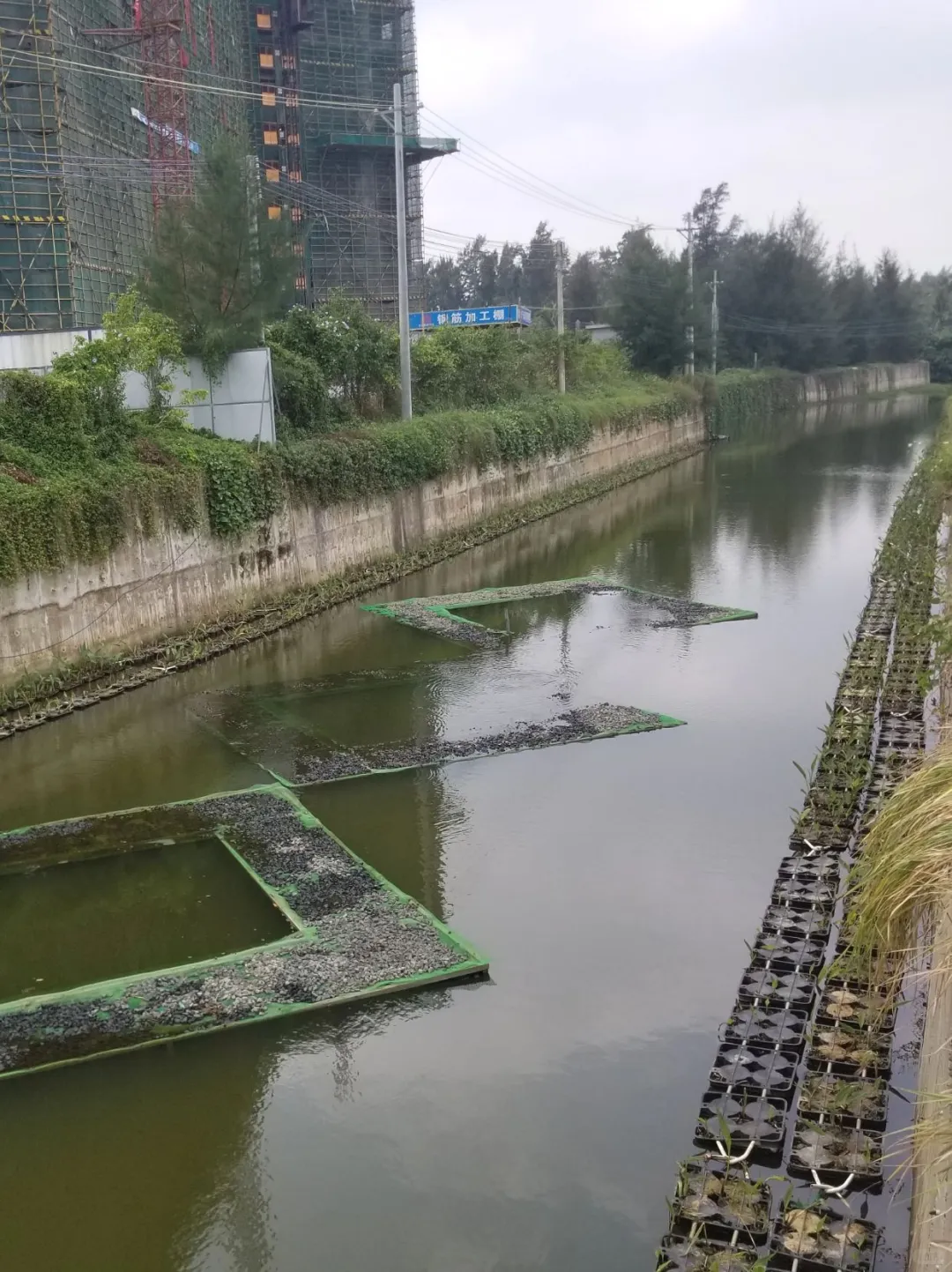 河道治理不踩坑！水质问题对症下药指南