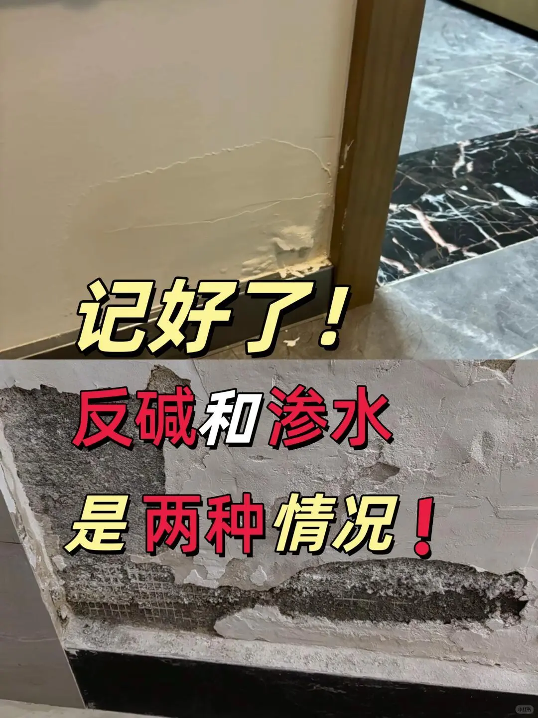 记好了❗反碱和渗水是两种情况