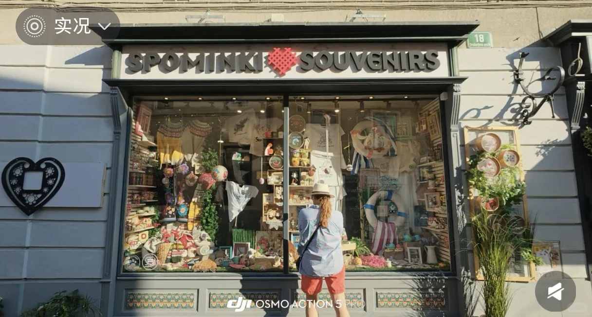 斯洛文尼亚冰箱贴搜罗的好店集锦