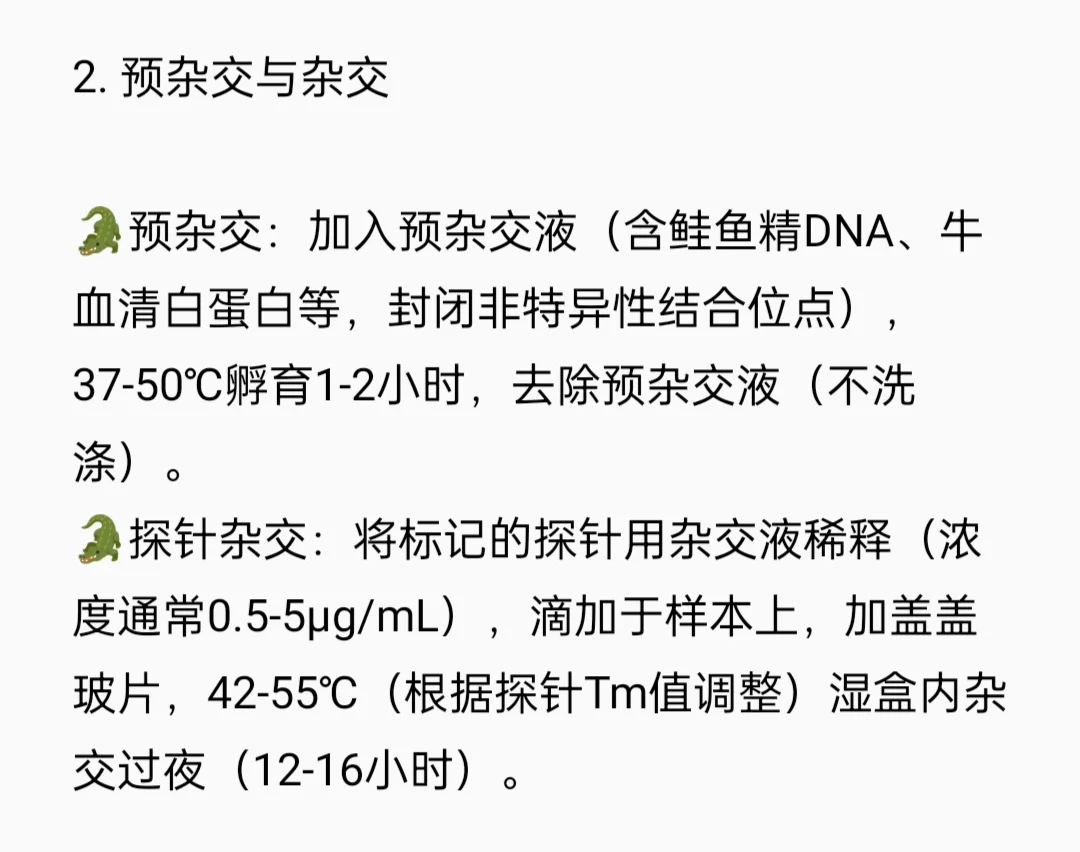 原位杂交（FISH）检测实验流程