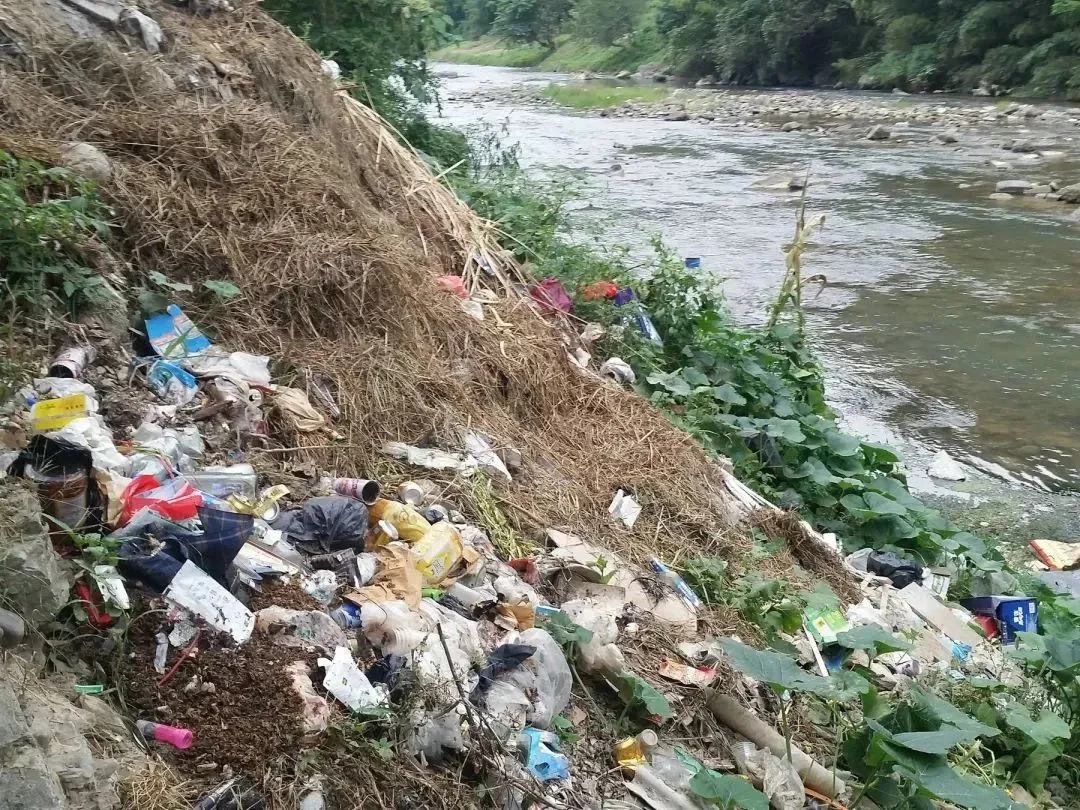 水环境生态修复的5大主要措施