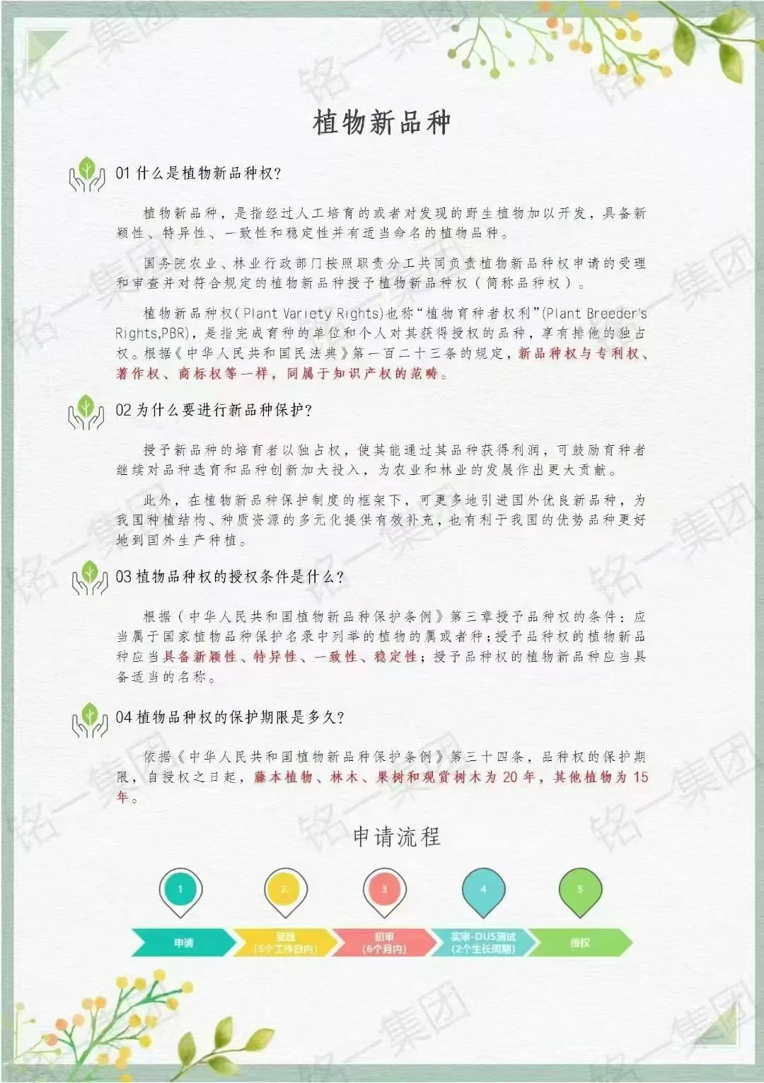 植物新品种如何申请保护