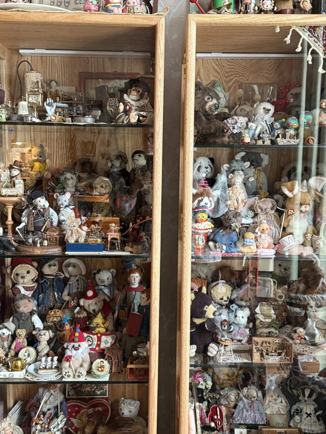 ?珍奇屋｜我家奇奇怪怪的玩物收藏?