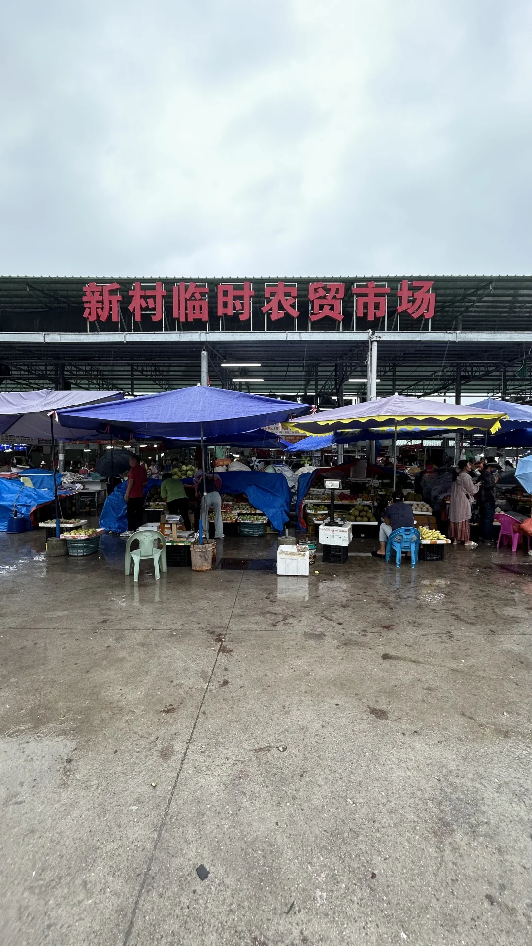 陵水新村临时农贸市场海鲜加工