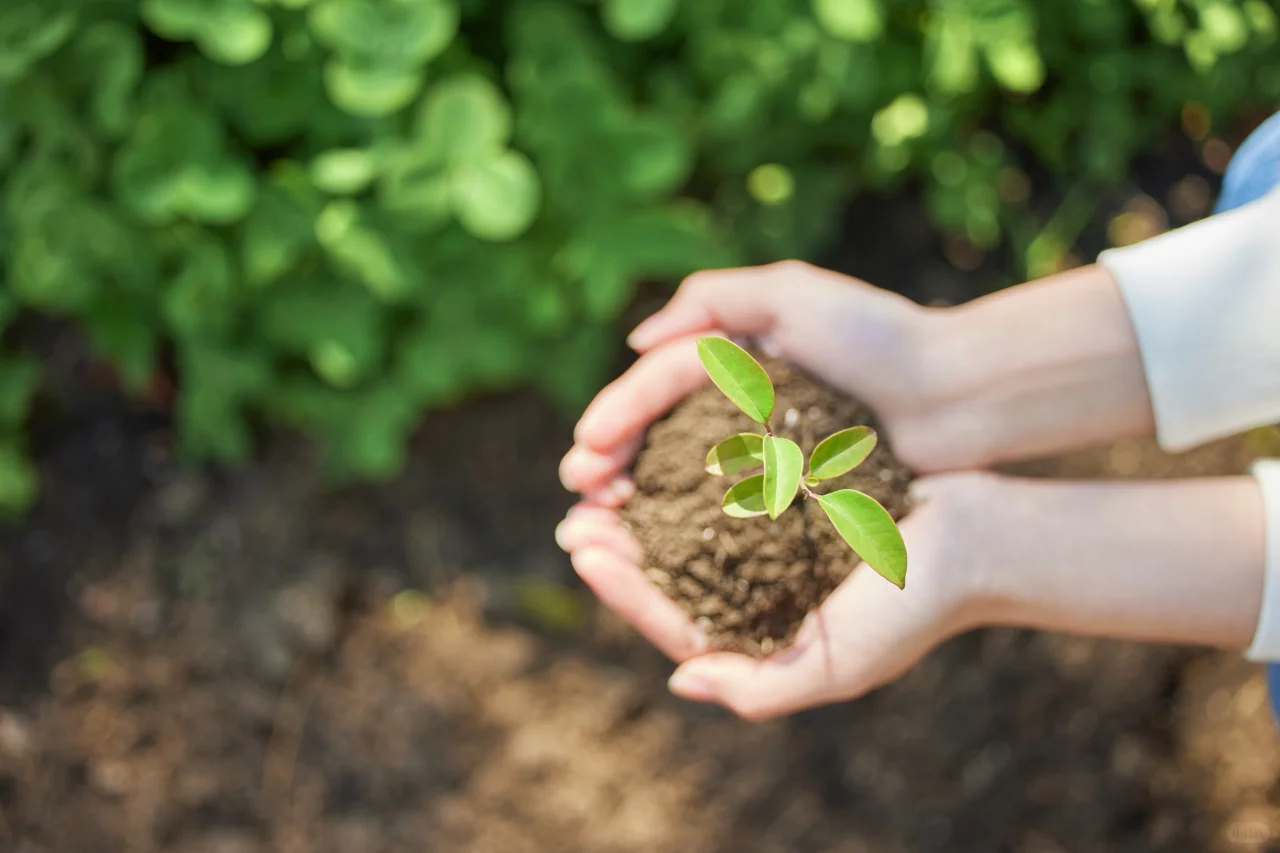 十五种土壤修复技术解析