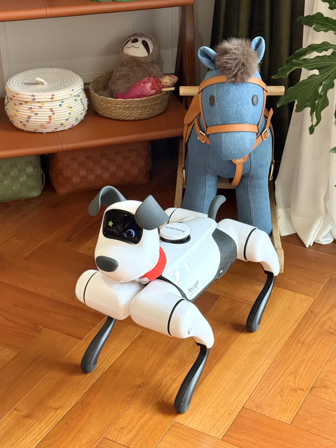 没有二胎但有小狗?恭喜女儿过上梦想童年!