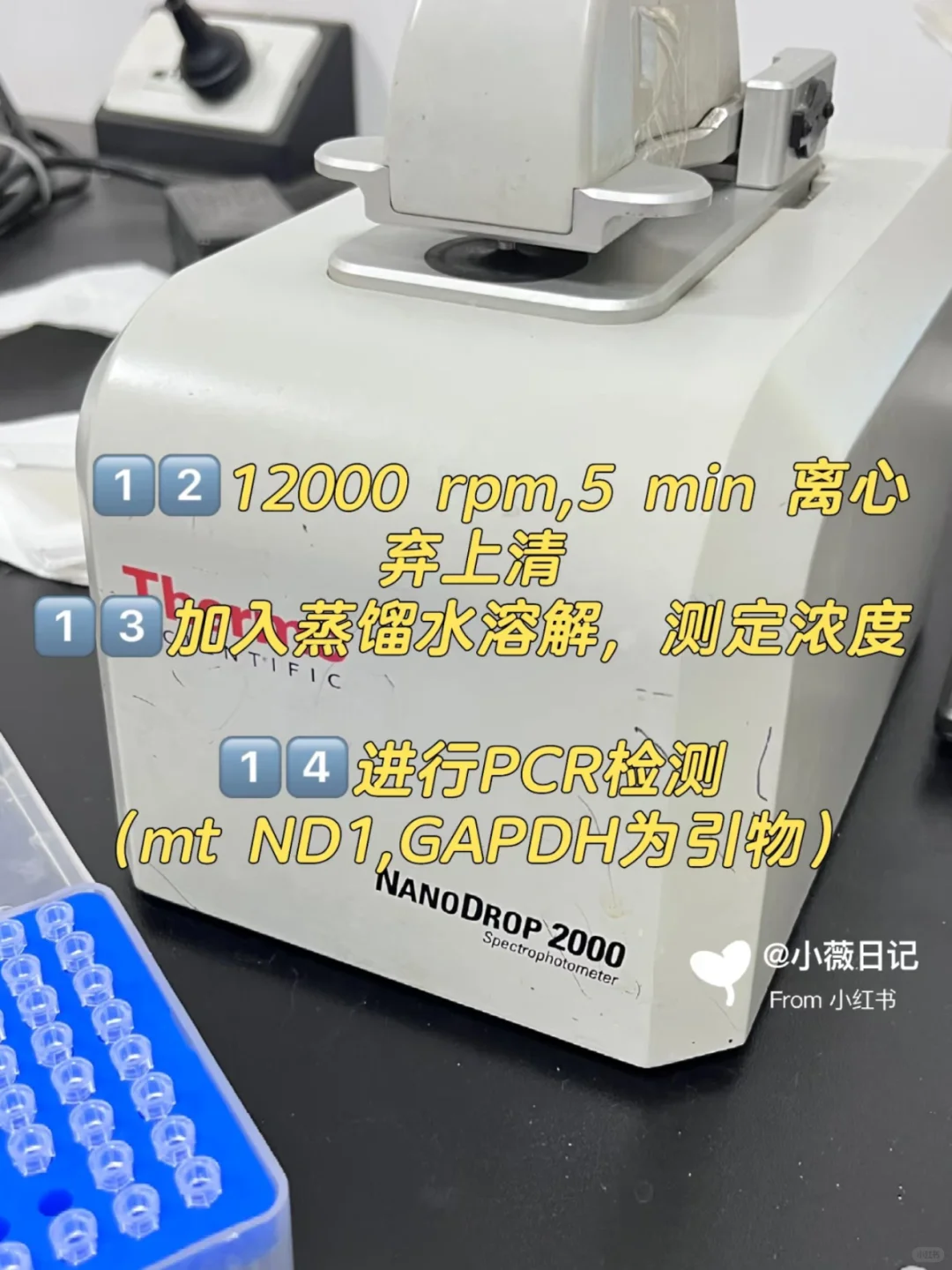 线粒体DNA拷贝数检测protocol详解✅