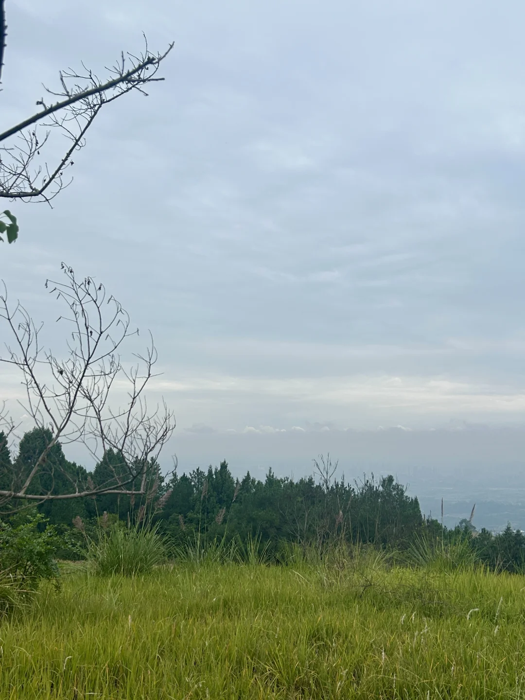 去见⛰️2025年10月26日 金堂梨花沟