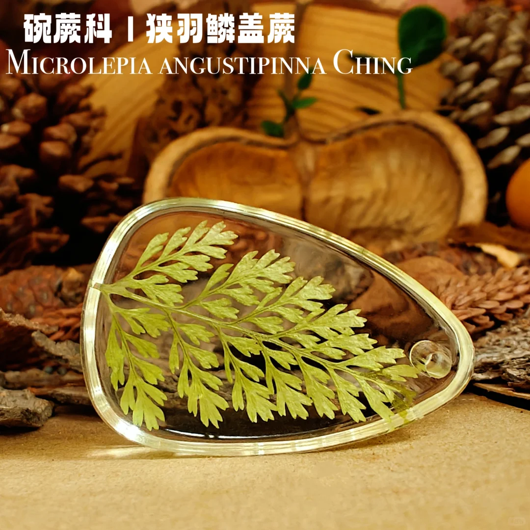 自制｜《手工植物滴胶一》