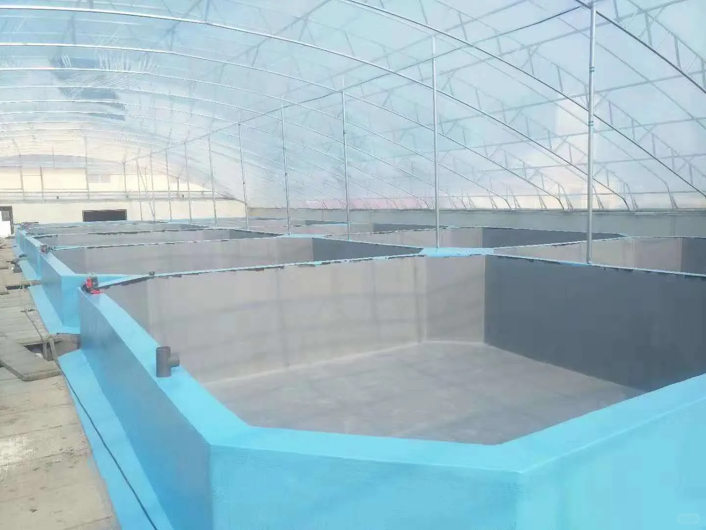 天可汗养殖漆水性环保适用于多场景水产养殖
