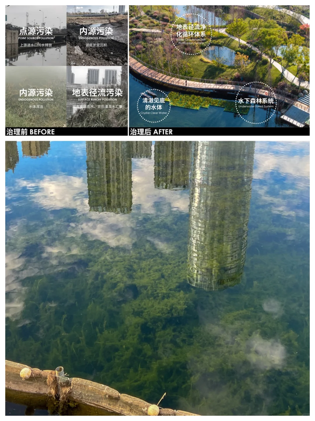 典型案例：昆明“两湖”水环境整治生态建设