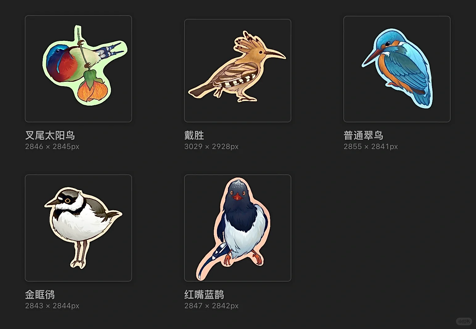 把我画的小鸟做成了挂件✌️✌️