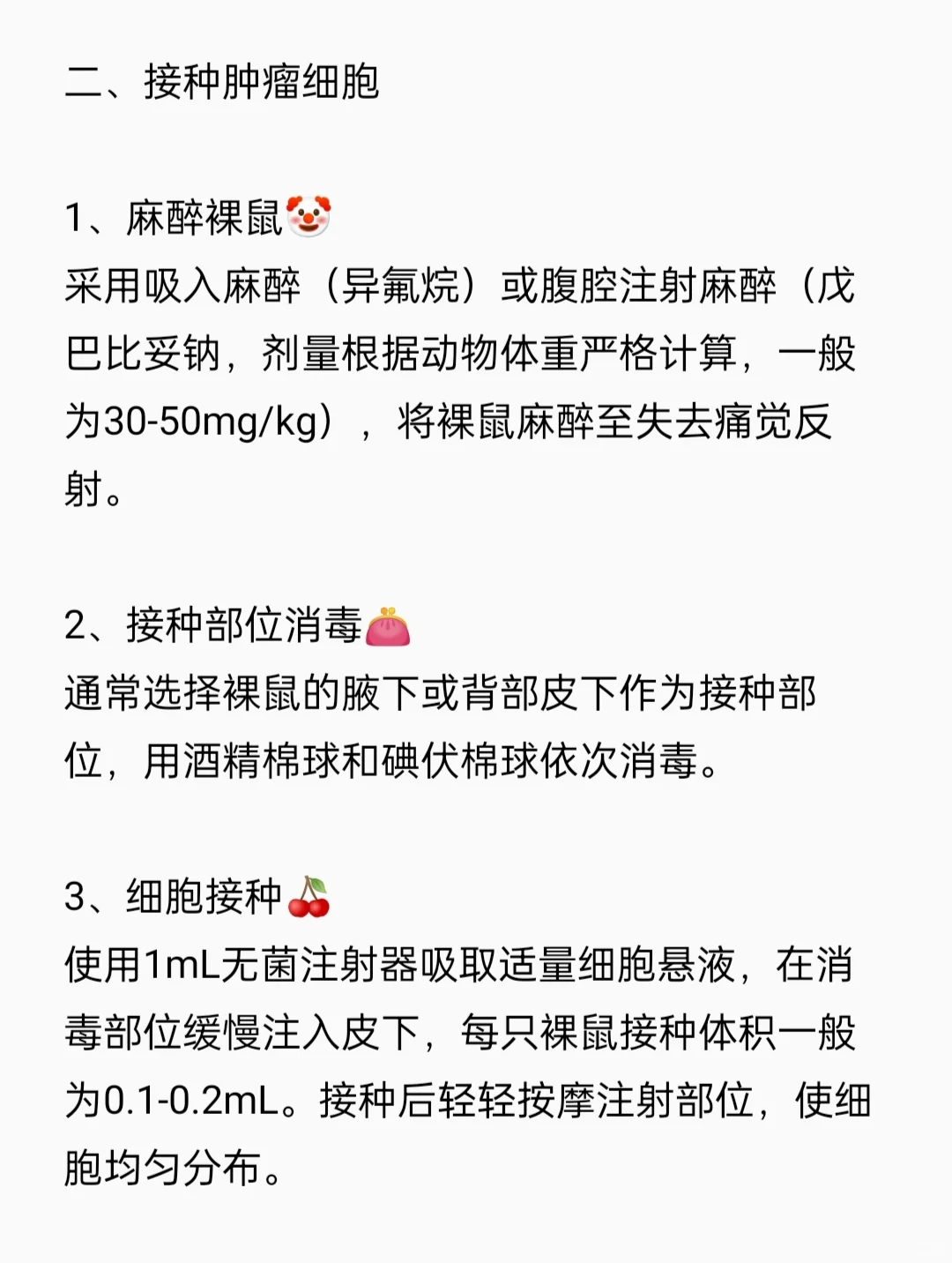 裸鼠成瘤实验流程