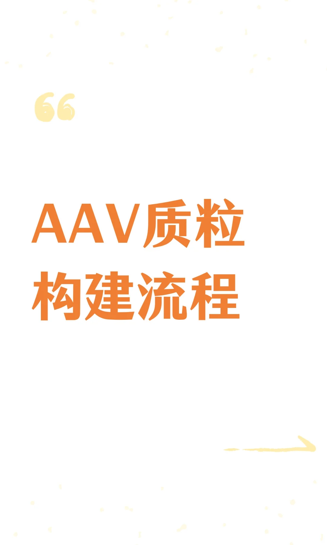 AAV质粒构建流程