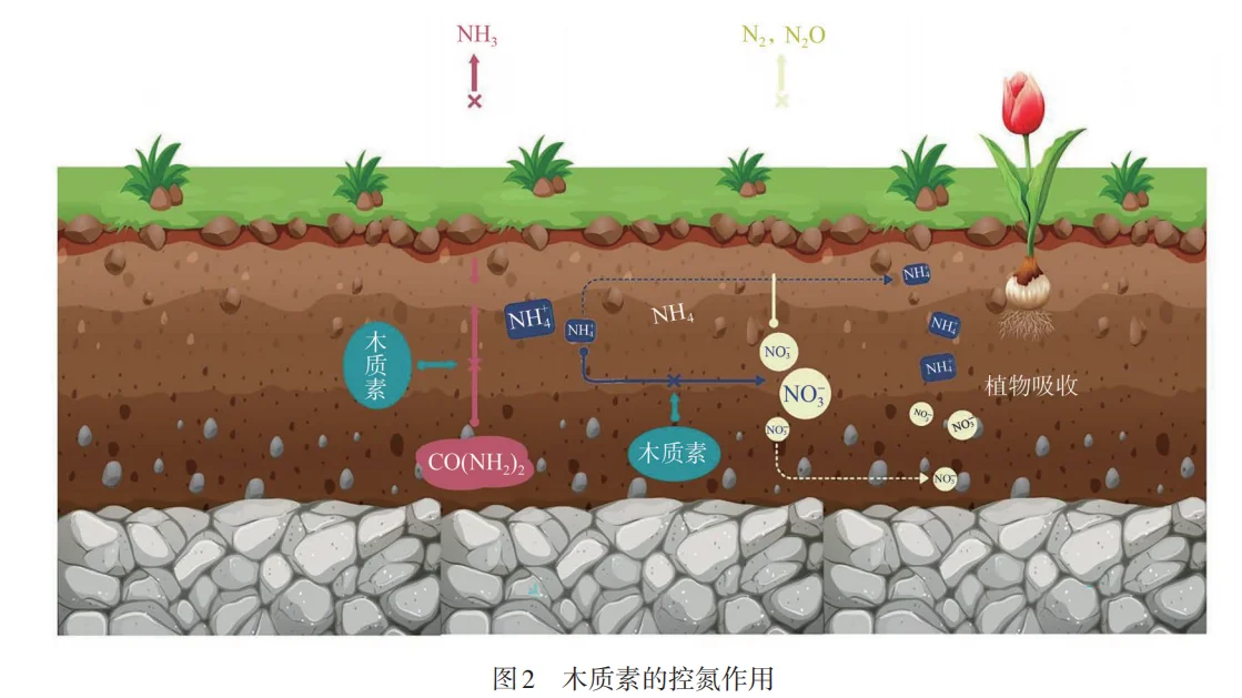 木质素竟成土壤救星？让土地重获新生