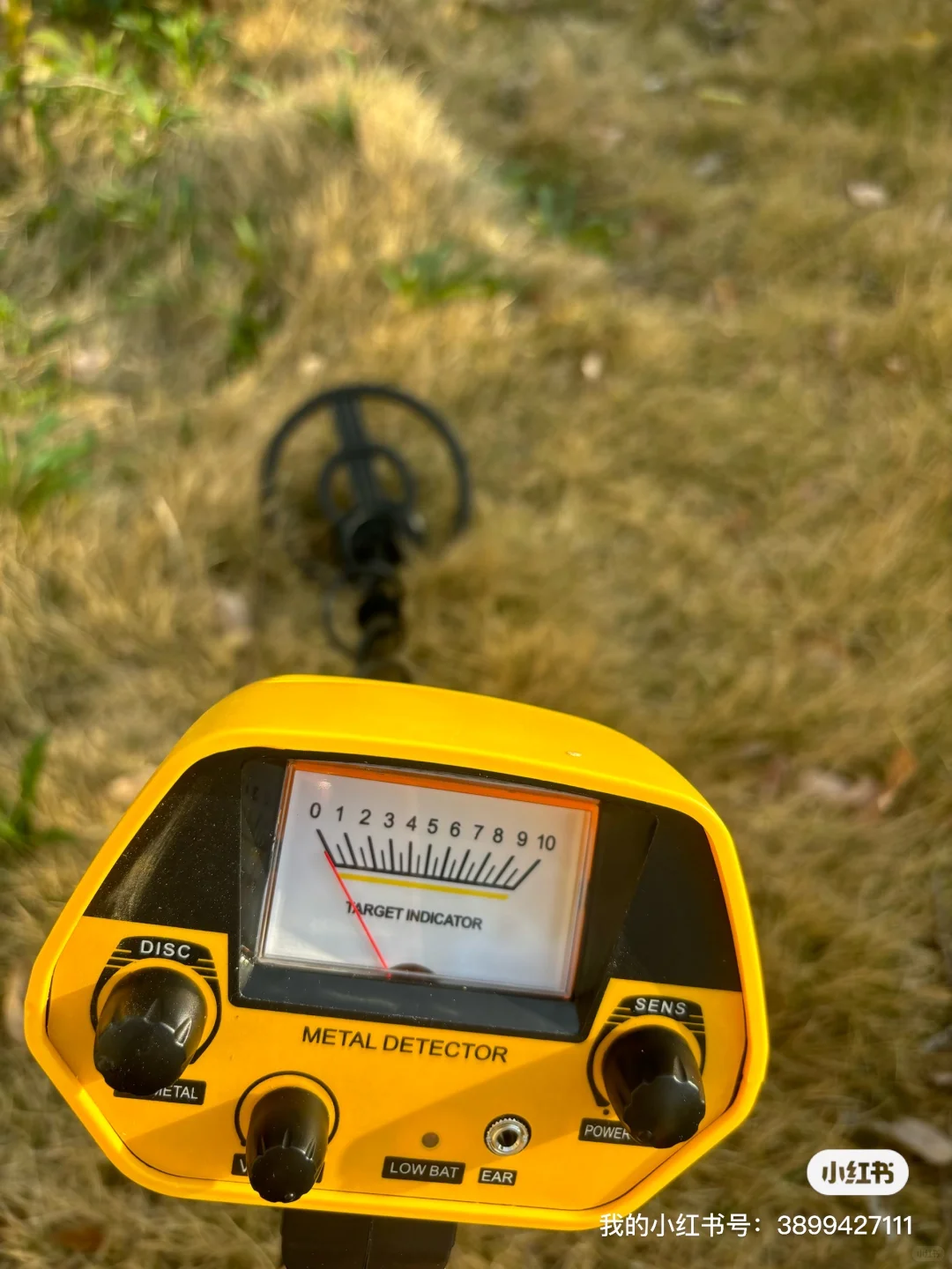 地下金属探测器 寻宝仪器