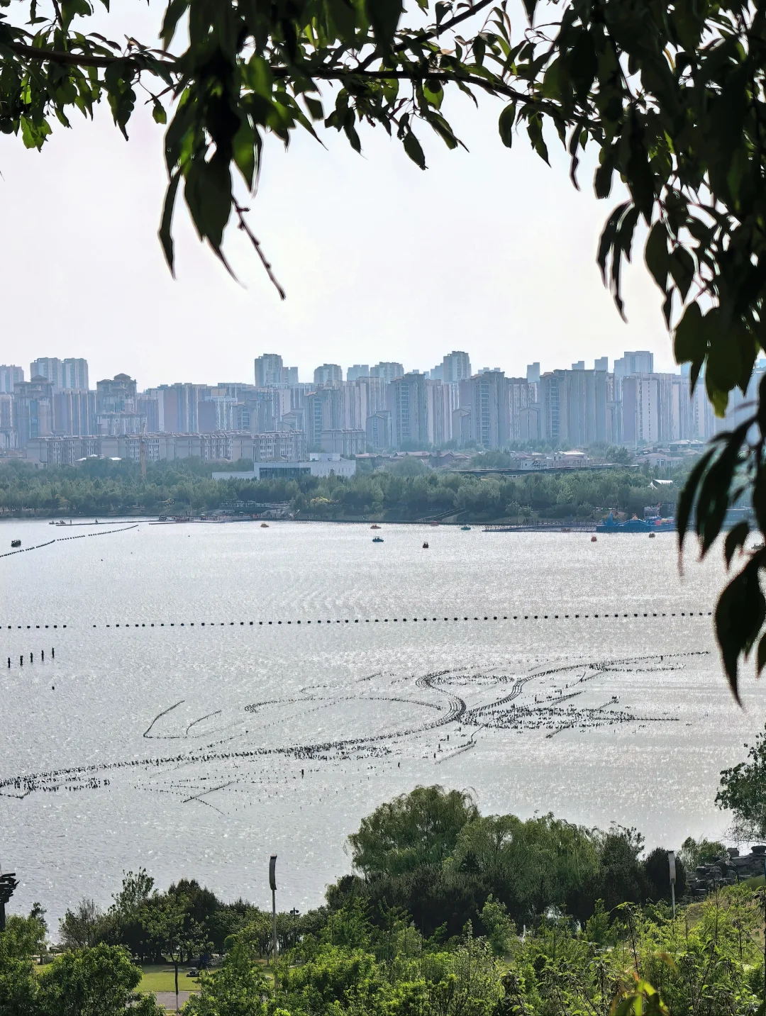 生态环境修复典范