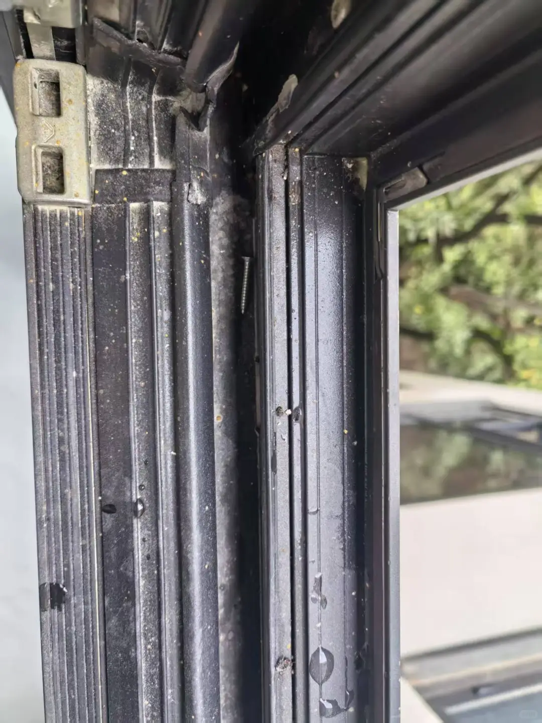 当擦玻璃变成我主要的收入来源