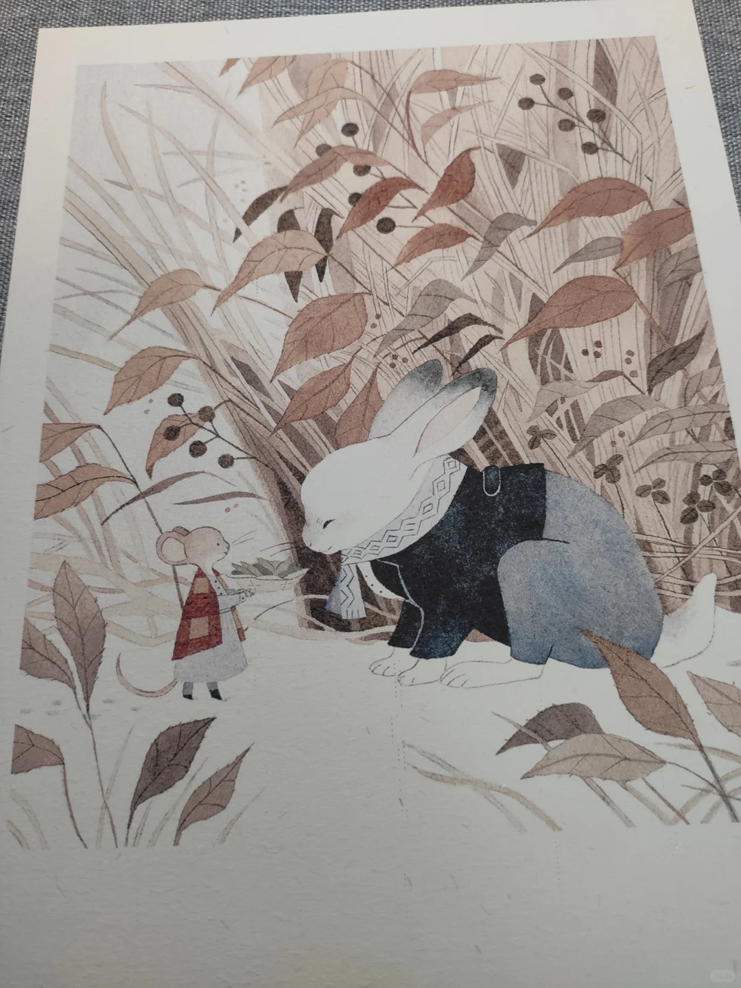 爱普生3251的纸张拓展