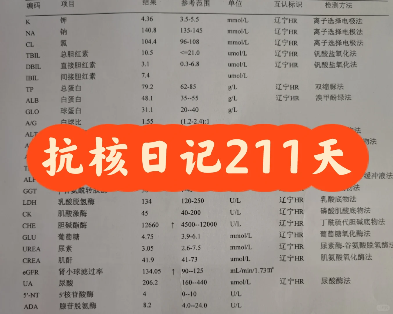 抗核日记第211天