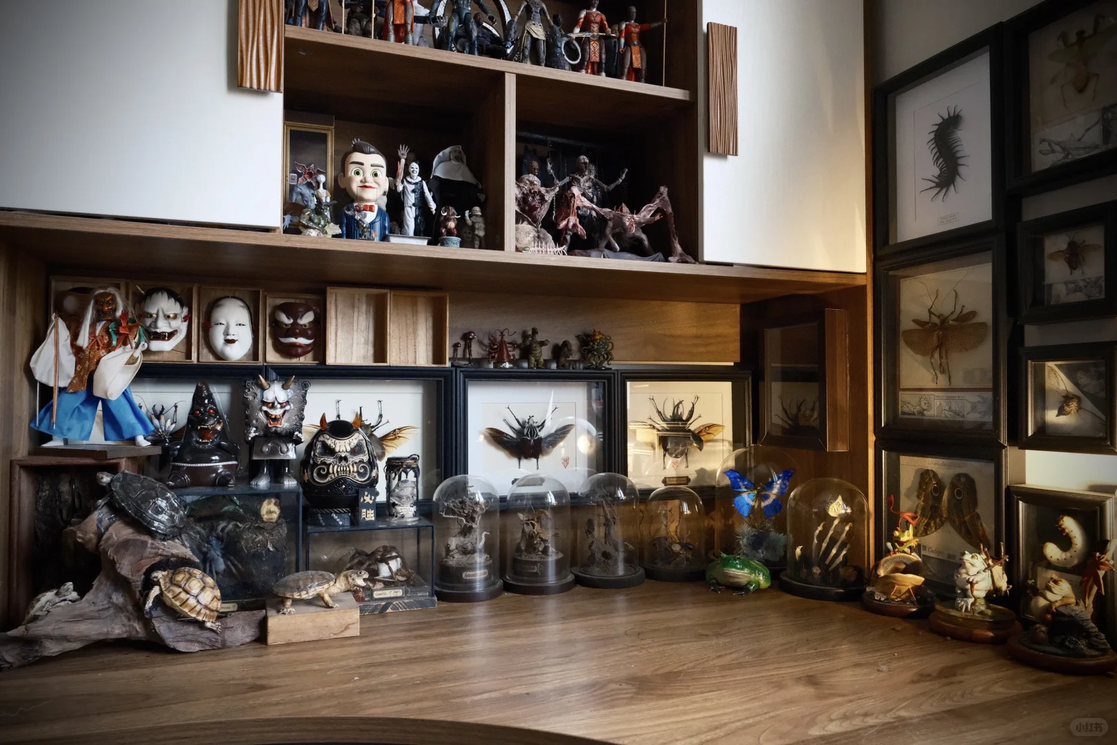 ?手办集｜拥有了一个理想中的好奇柜