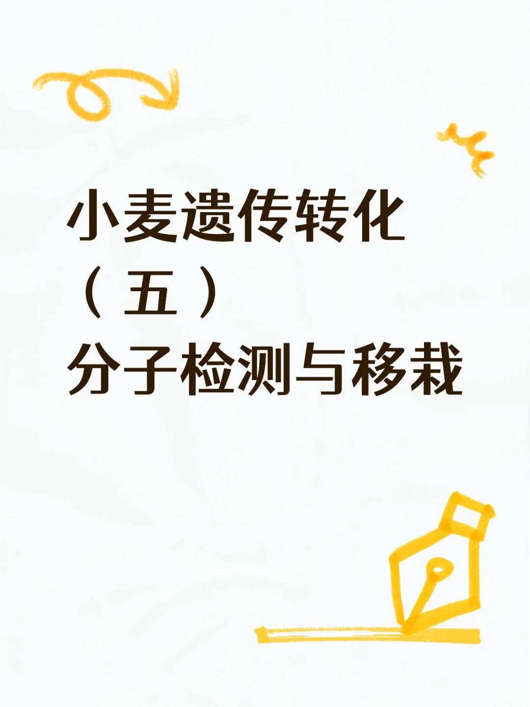 小麦遗传转化之分子检测与移栽